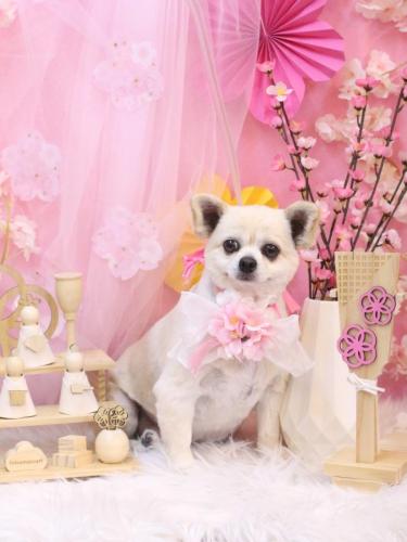 20250305ポロくん